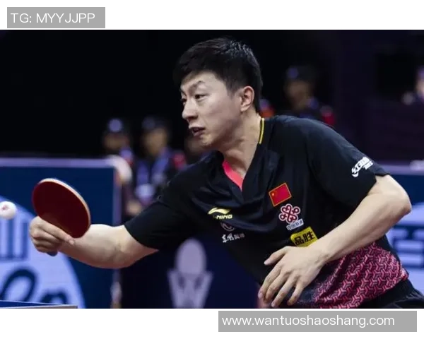 南京羽毛球队在钻石联赛积分榜上以92分稳居第一名展现强大实力