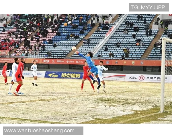 足球的魅力与明星球员的传奇故事探寻之旅