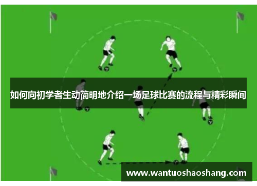 如何向初学者生动简明地介绍一场足球比赛的流程与精彩瞬间