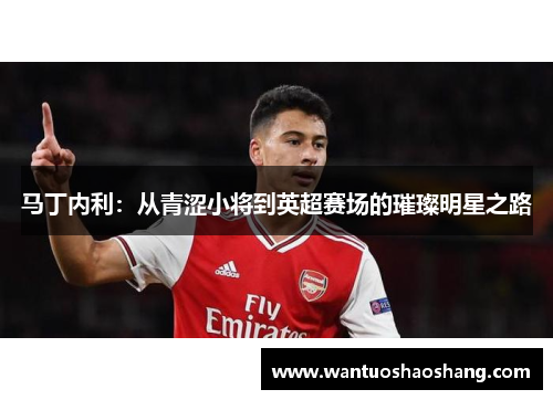 马丁内利：从青涩小将到英超赛场的璀璨明星之路