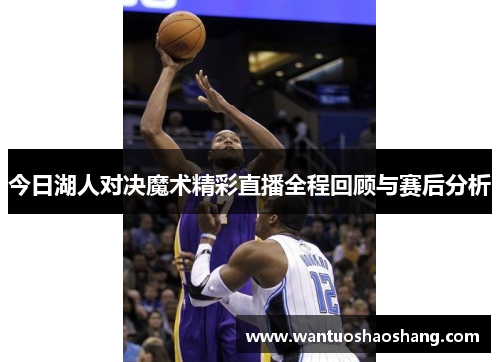 今日湖人对决魔术精彩直播全程回顾与赛后分析